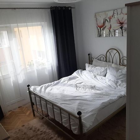 Mari&Vio Apartment Cluj-Napoca Exteriör bild