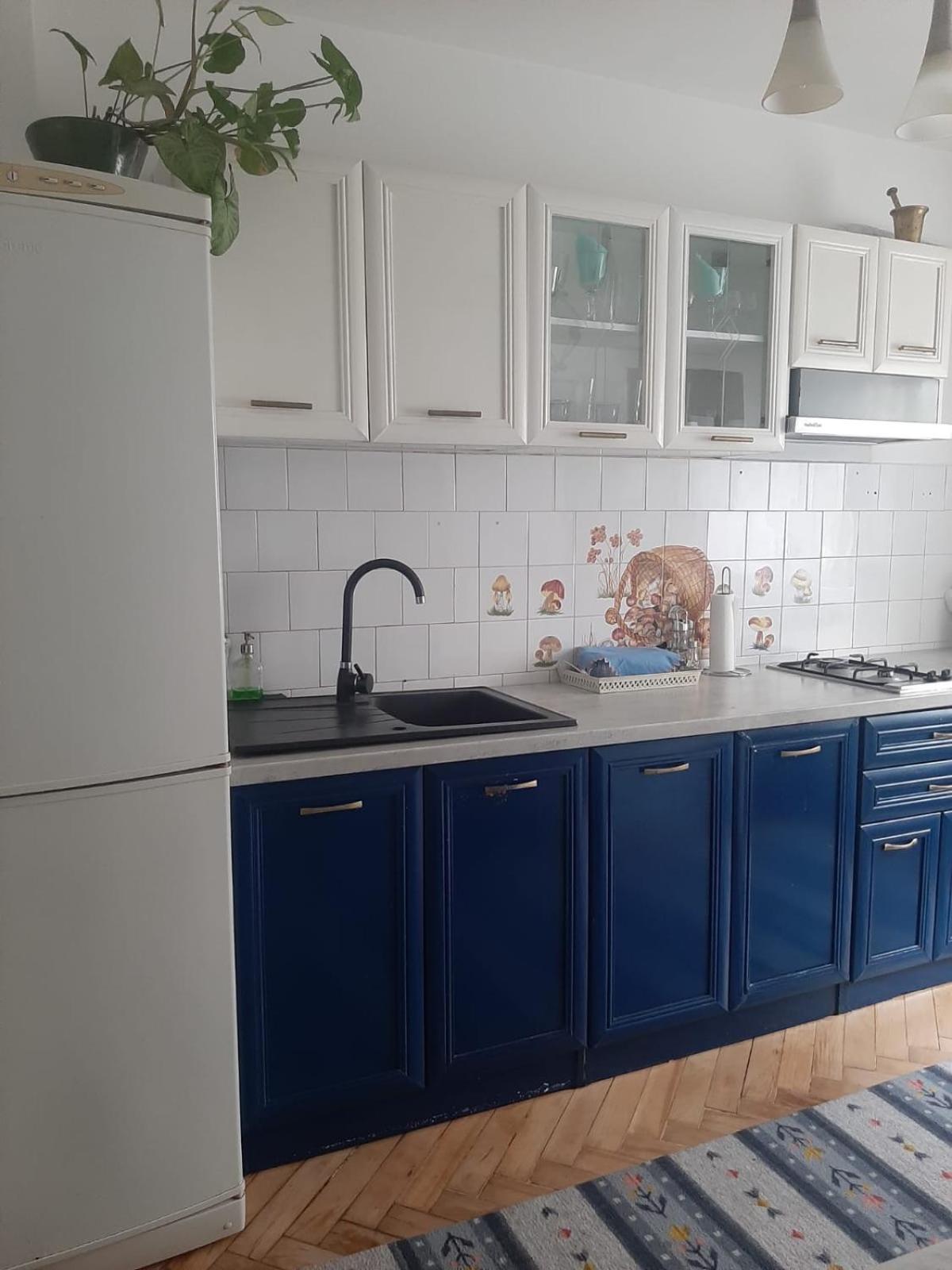Mari&Vio Apartment Cluj-Napoca Exteriör bild