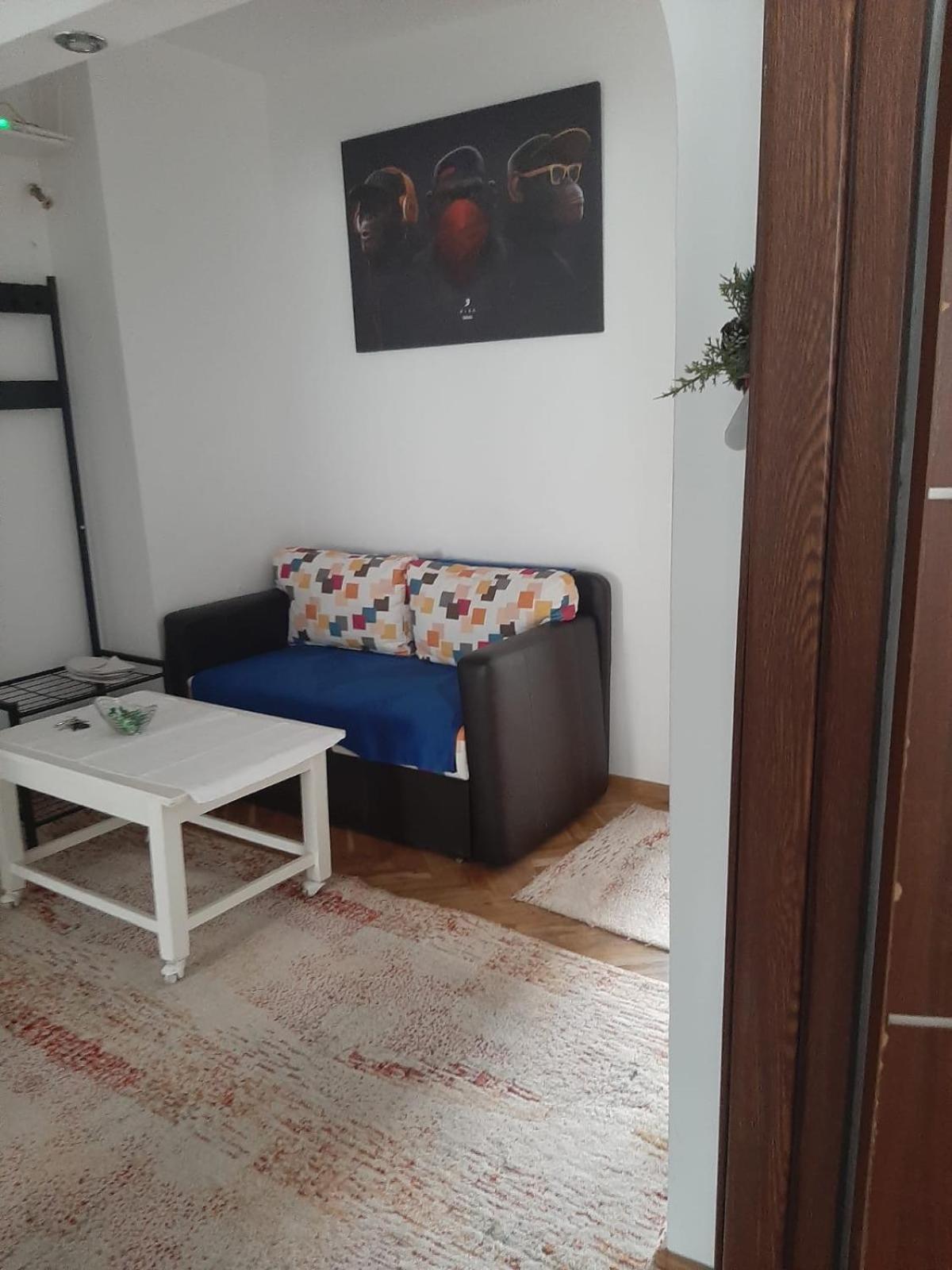 Mari&Vio Apartment Cluj-Napoca Exteriör bild