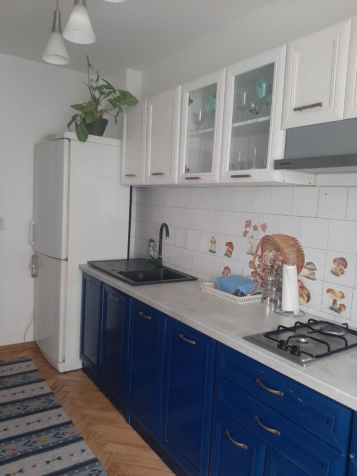 Mari&Vio Apartment Cluj-Napoca Exteriör bild